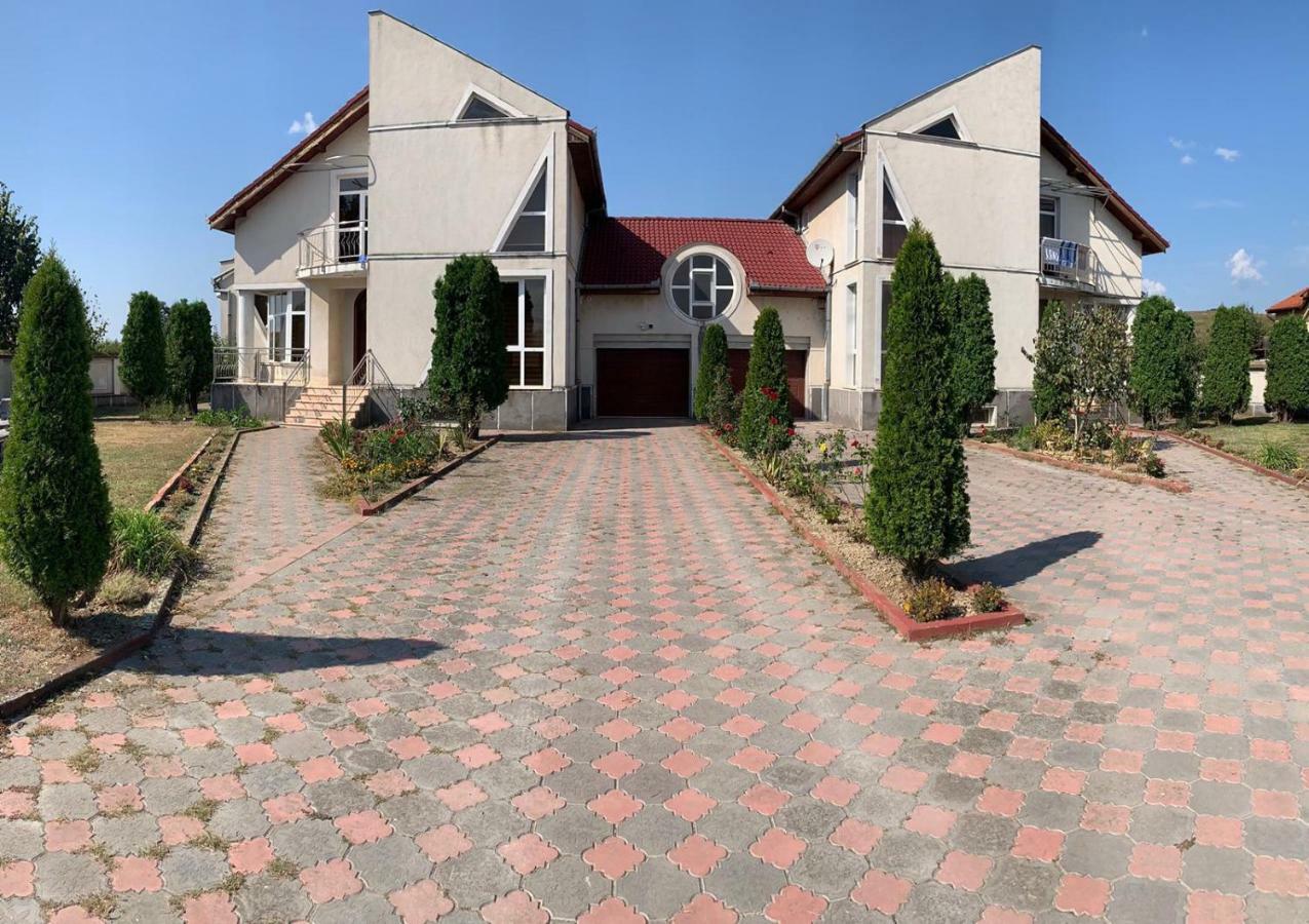 Vila Nei Lugoj Exteriér fotografie